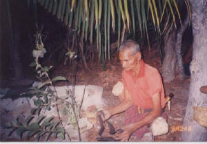 02.jpg